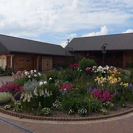 Padiego Alojzow (Chelm)